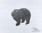 Animal - Bear Design- DXF Download