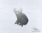 Australian Animals - Drop Bear - DXF Download