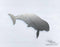 Australian Animals - Dugong - DXF Download