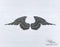 Memorial Wings Design 18 -  DXF Download