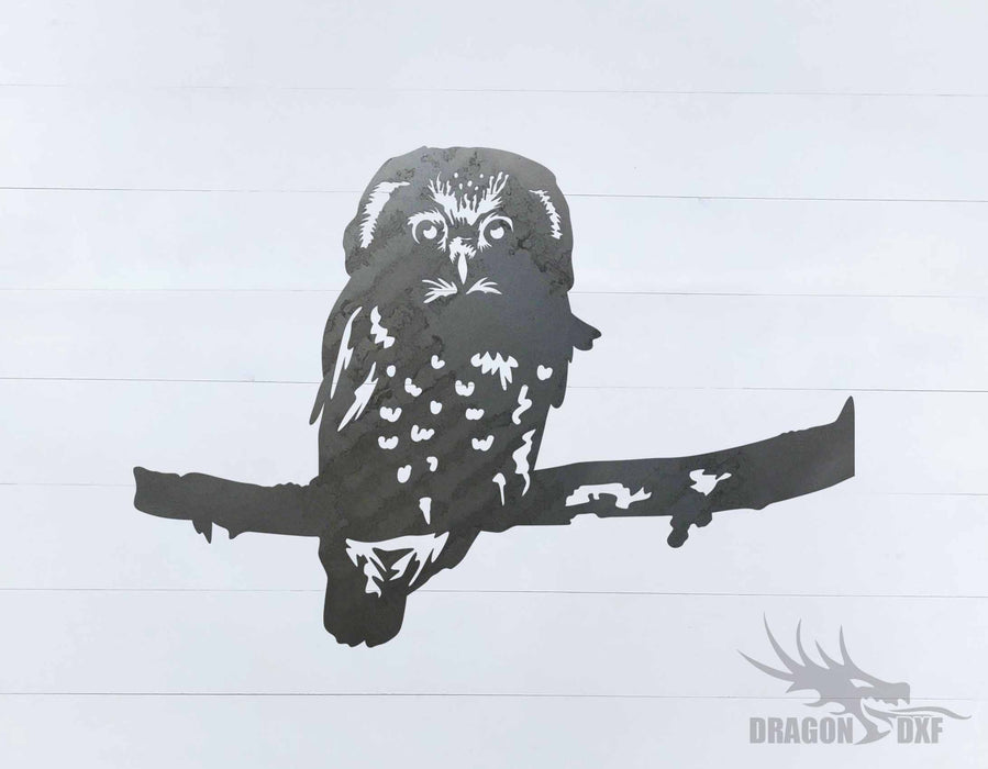 Animal - Owl 12 Design - DXF Download