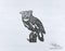 Animal - Owl 13 Design - DXF Download