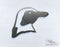 Penguin - Zoo Animals -  DXF Download