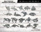 Sea Turtle Design Package (19 Designs) - Plasma Laser DXF Cut File